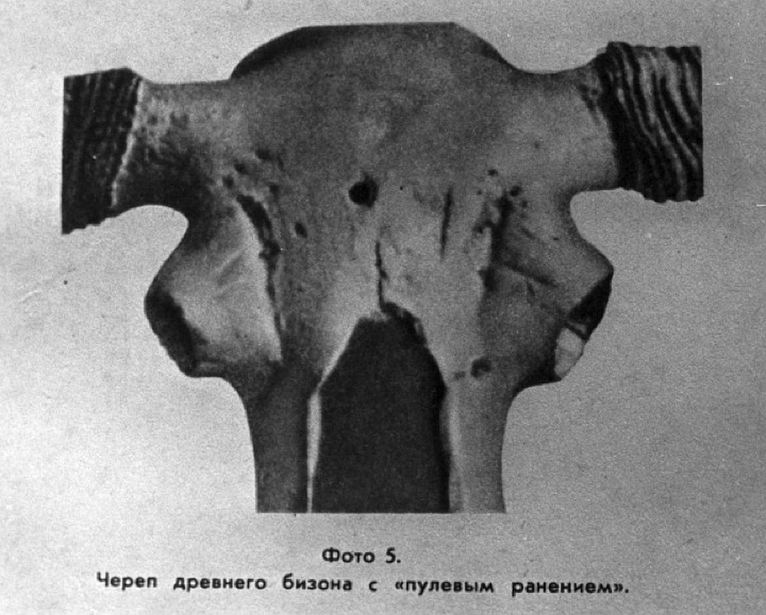 доисторический череп с пулевым отверстием