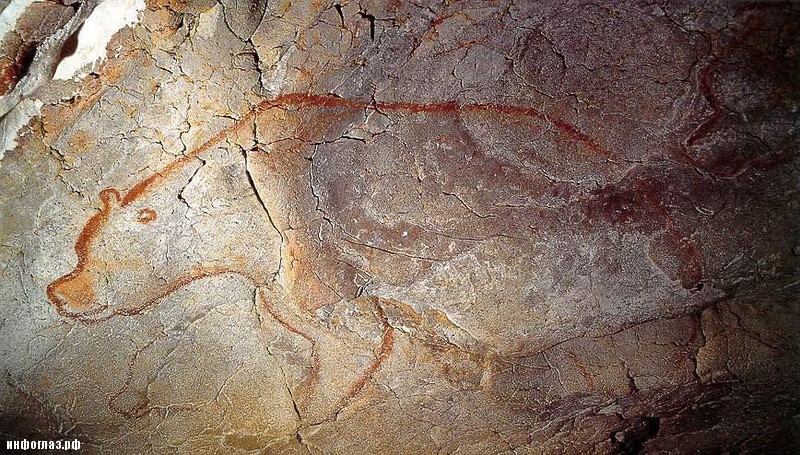 пещерный медведь, древний наскальный рисунок