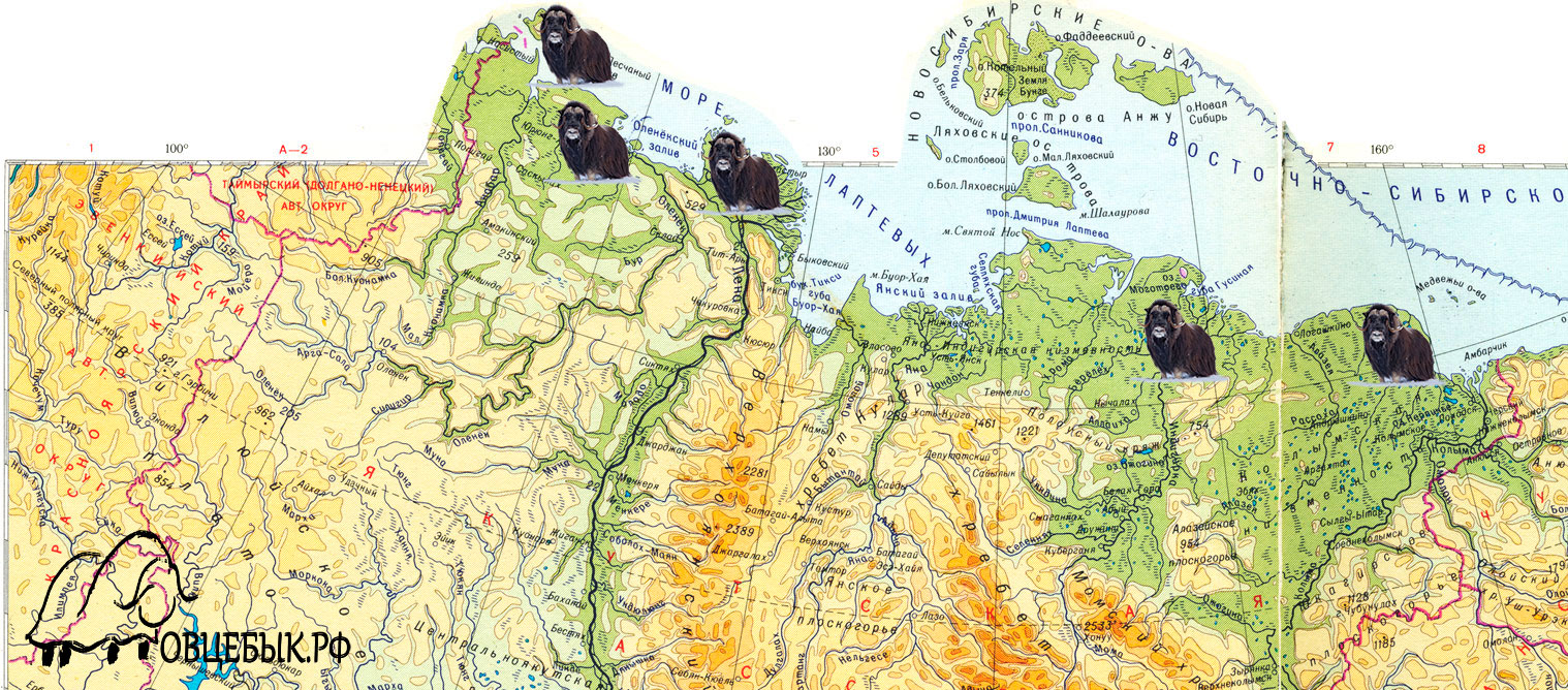 карта распространения овцебыков в Якутии